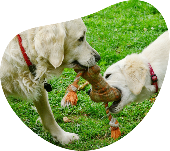 Communauté Caniparc